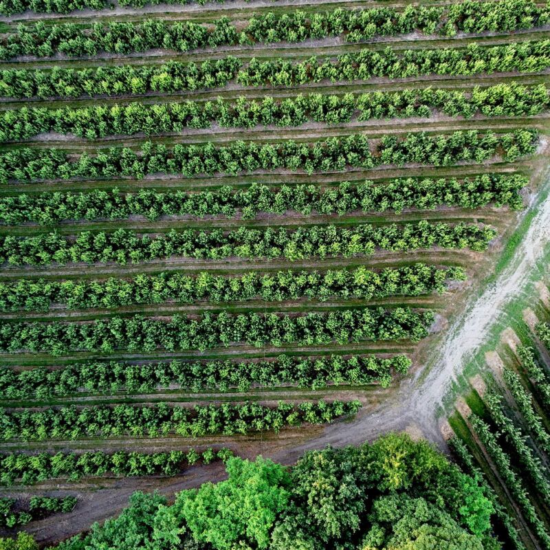 Luchtbeeld van velden aan het Kezelfort te Oudenaarde